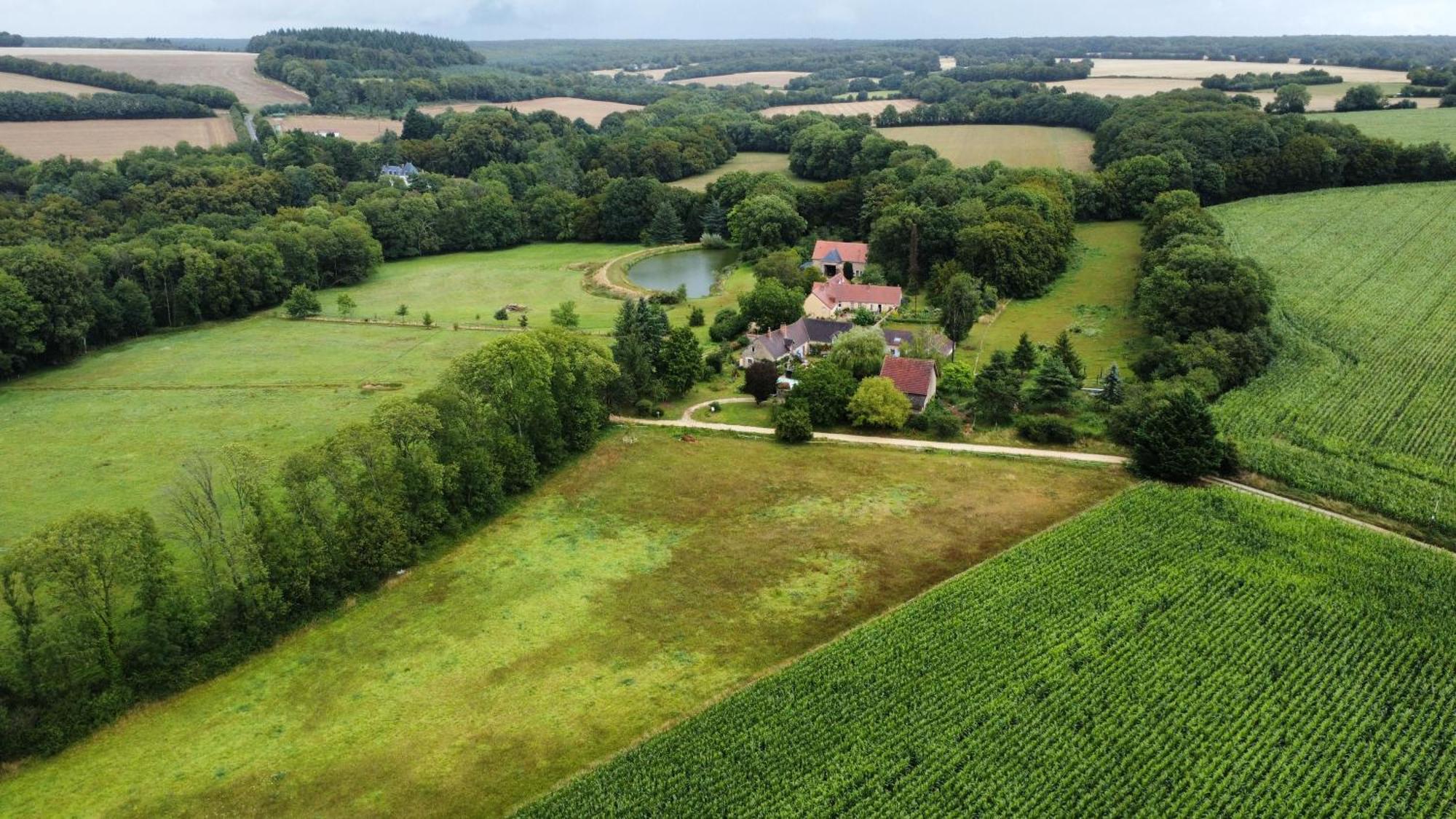 Les Anniquins Villa Ivoy-le-Pre ภายนอก รูปภาพ